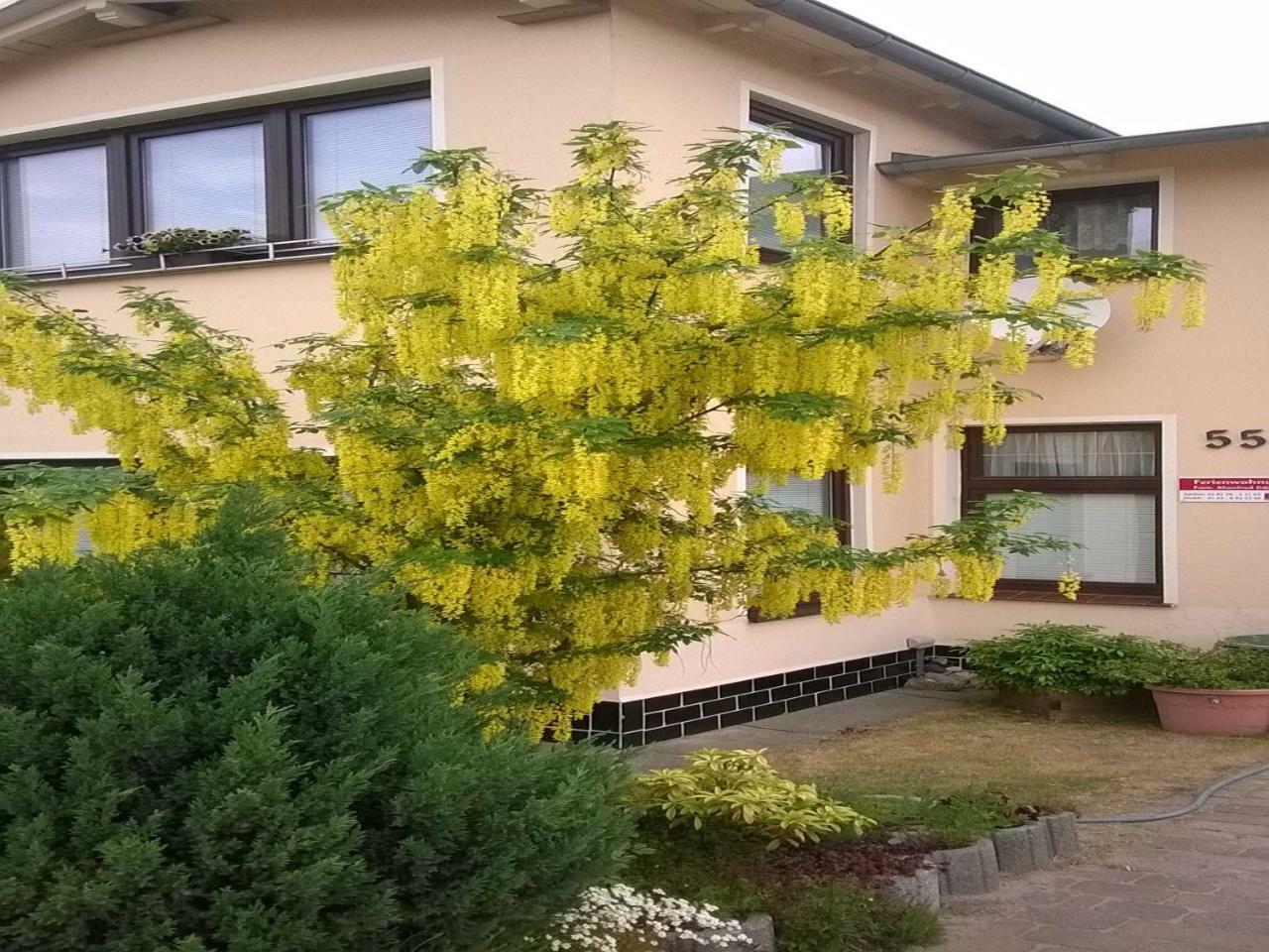 Ferienwohnung Gaertner Heringsdorf  Bagian luar foto